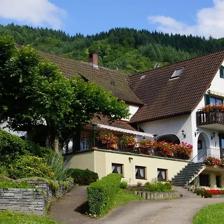 بيت ريفي Landgasthof Gruener Baum *