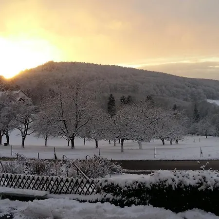 Landgasthof Gruener Baum بيت ريفي