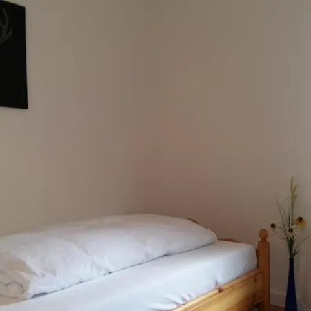 بيت ريفي Landgasthof Gruener Baum بادنويلر