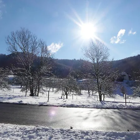 Landgasthof Gruener Baum
