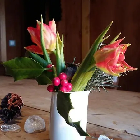 Landgasthof Grüner Baum Inn Badenweiler