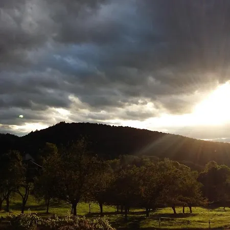 Landgasthof Grüner Baum Badenweiler