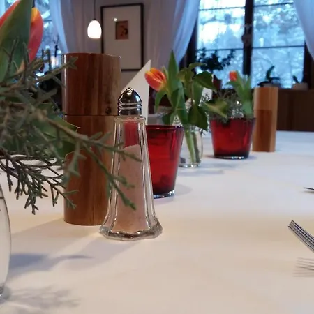 Landgasthof Grüner Baum Inn *