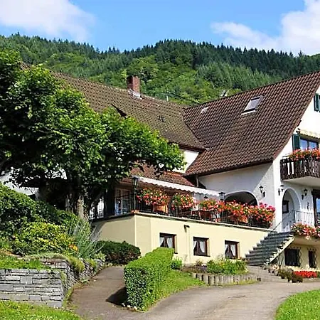 Landgasthof Gruener Baum *